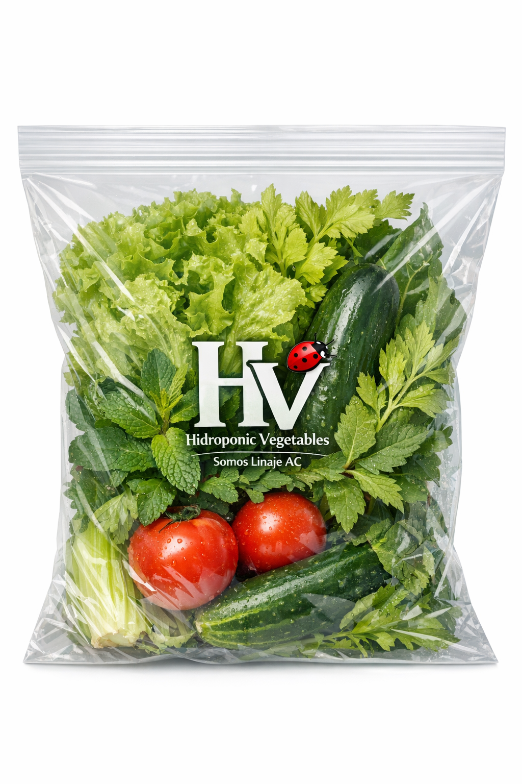 Mix de verduras, frutos y aromáticas