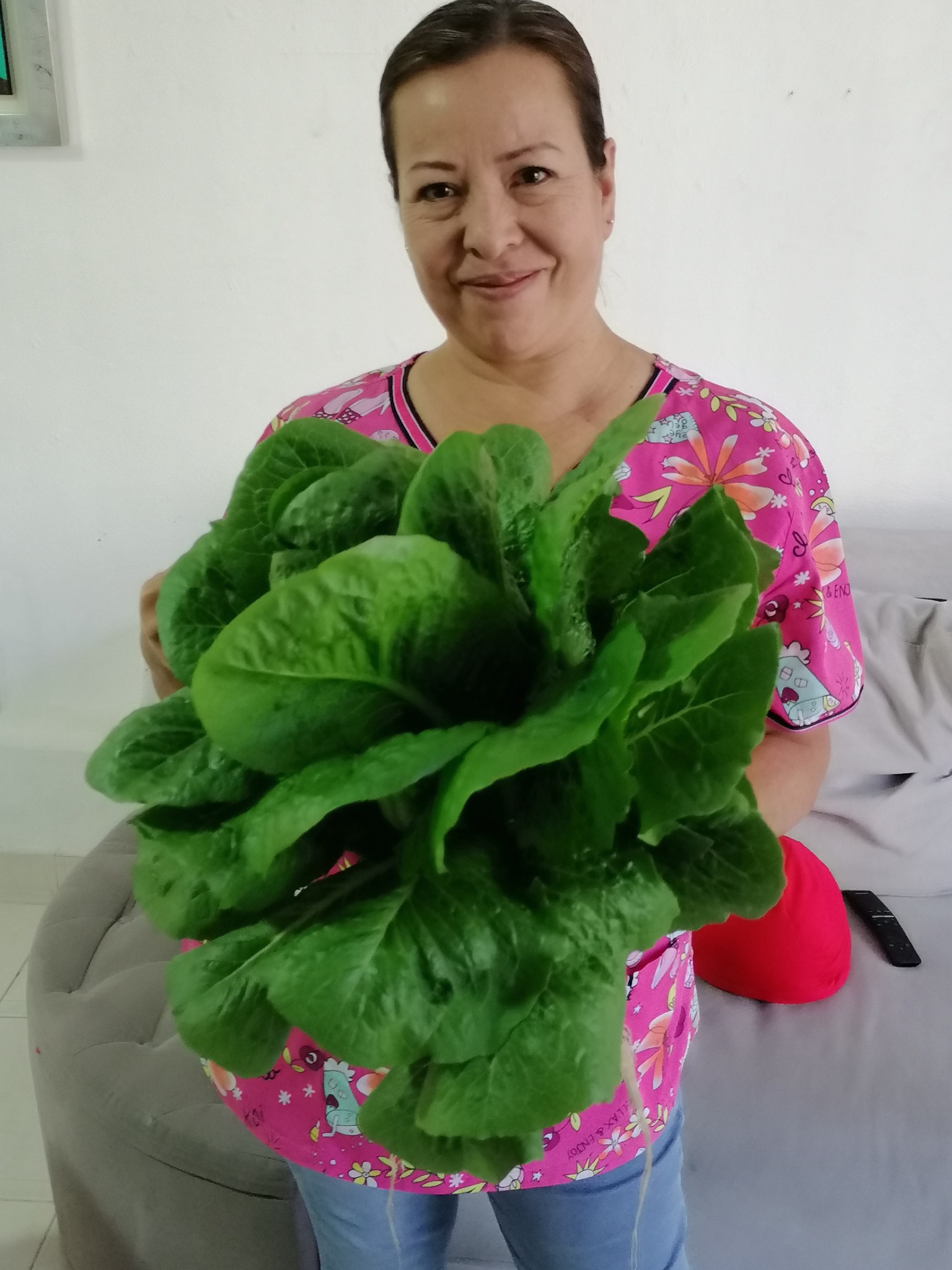 Hydroponics 2