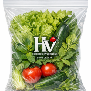 Mix de verduras, frutos y aromáticas